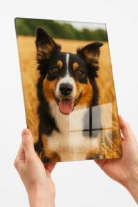 Plexi Poster | Modern, Frameless Wall Art