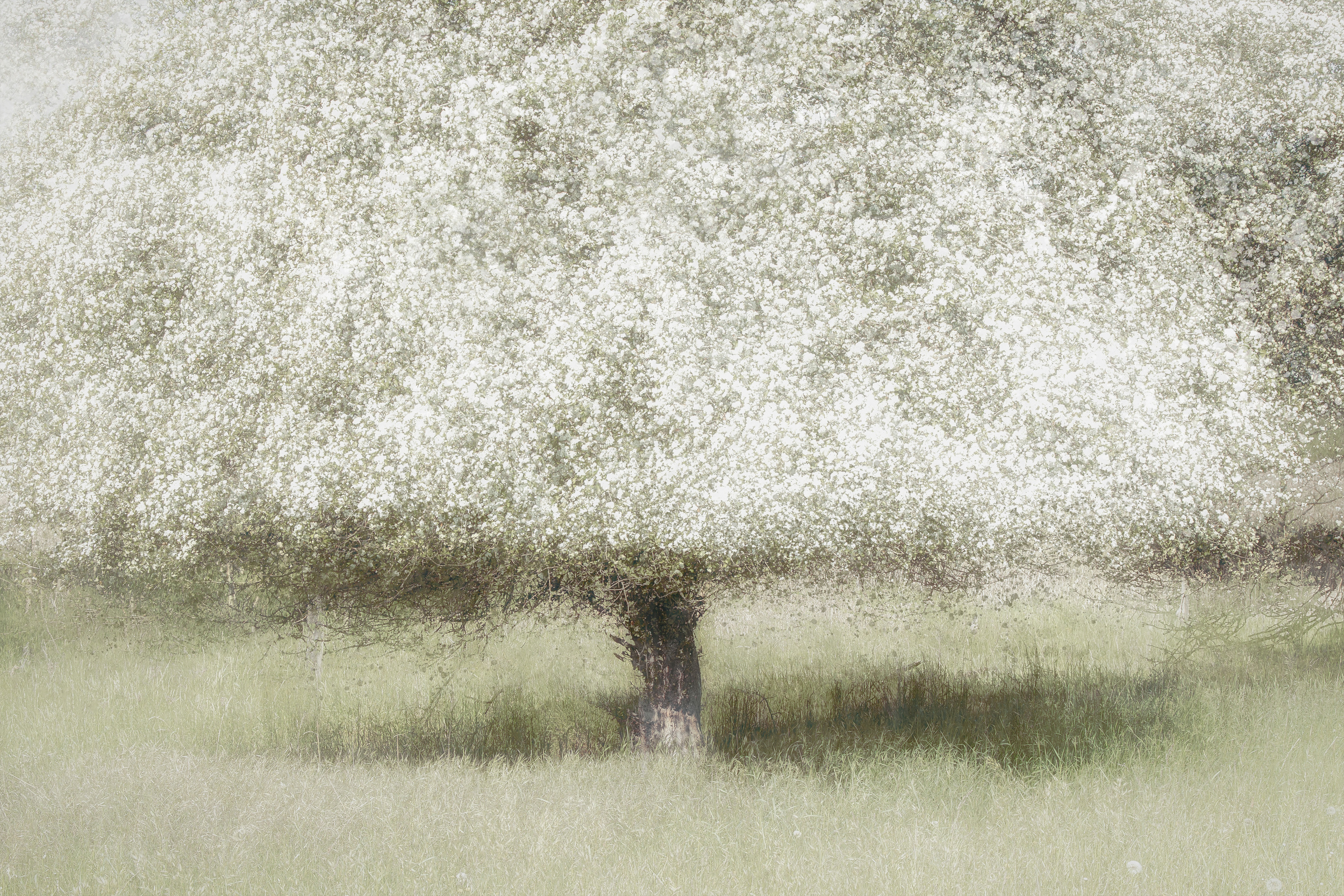 3c80ba9fc8afd96ff7bef9871e6934f0-hd2.jpg