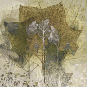 Transient