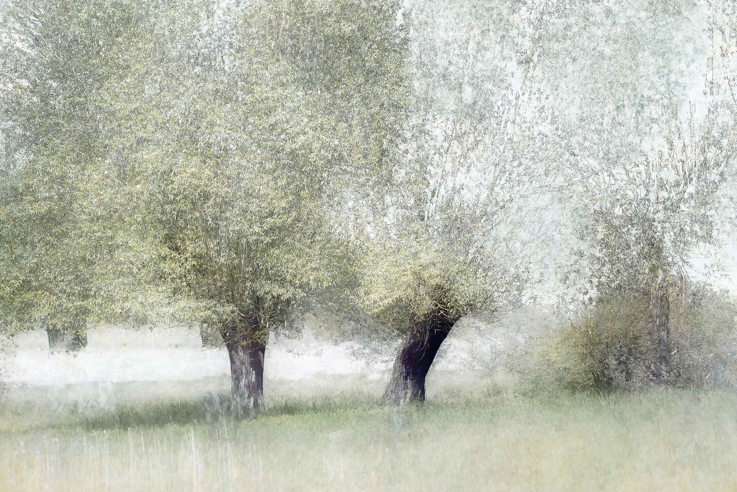 Young green