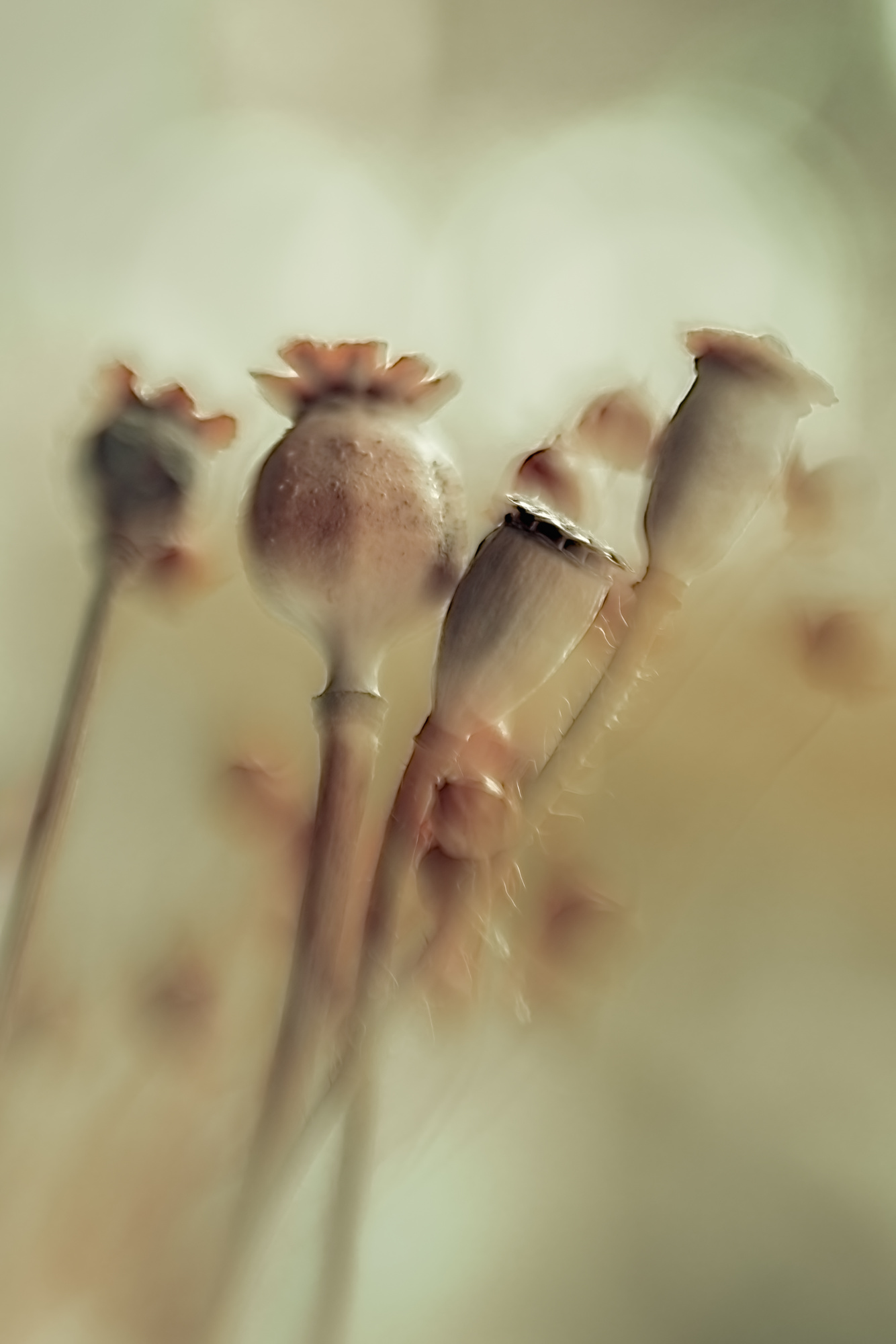 a674e53fe860a399b037e459ecf733d8-hd2.jpg