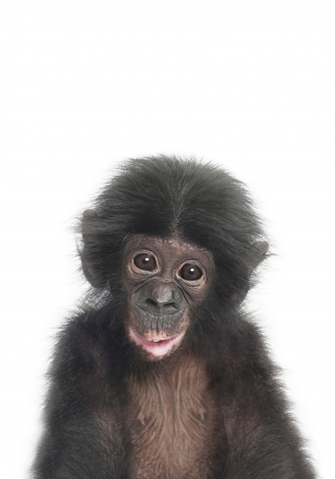 a7284d2939a78bbbe5fdadee726caec5-hd2.jpg