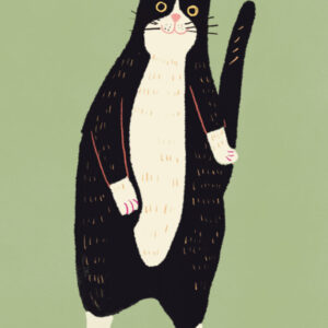 Black and white cat 02