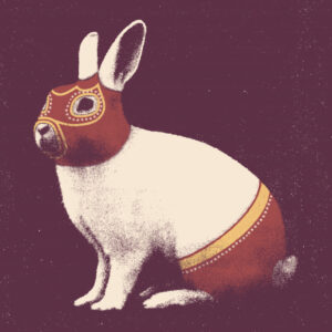 Lapin Catcheur