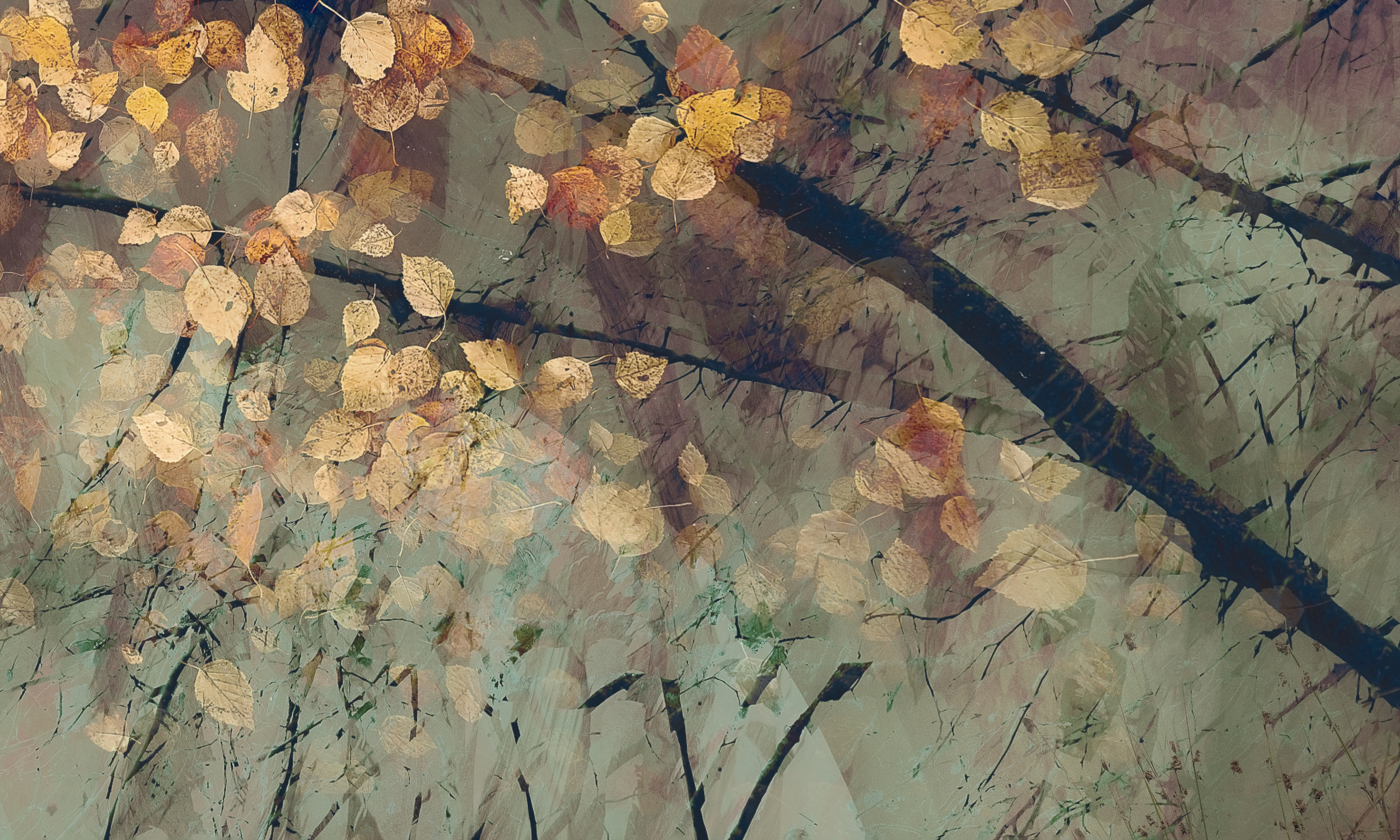d3a5c33f57ba5d70ad5a9357e5ef6a59-hd2.jpg