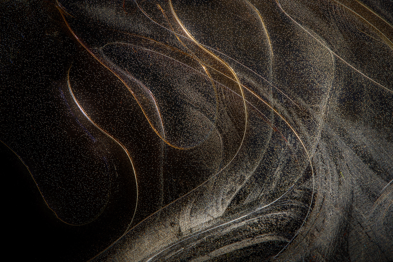 ddd0fff8962d9e2702ed1f5d574eecb5-hd2.jpg