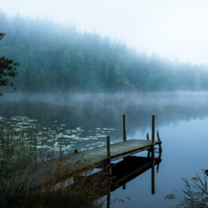 Moody morning