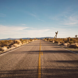 Joshua Tree Road