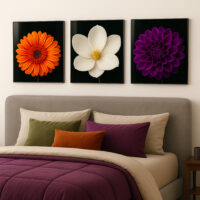 plexi_gallery wall_20x20_3 plexi_gallery wall_20x20_3