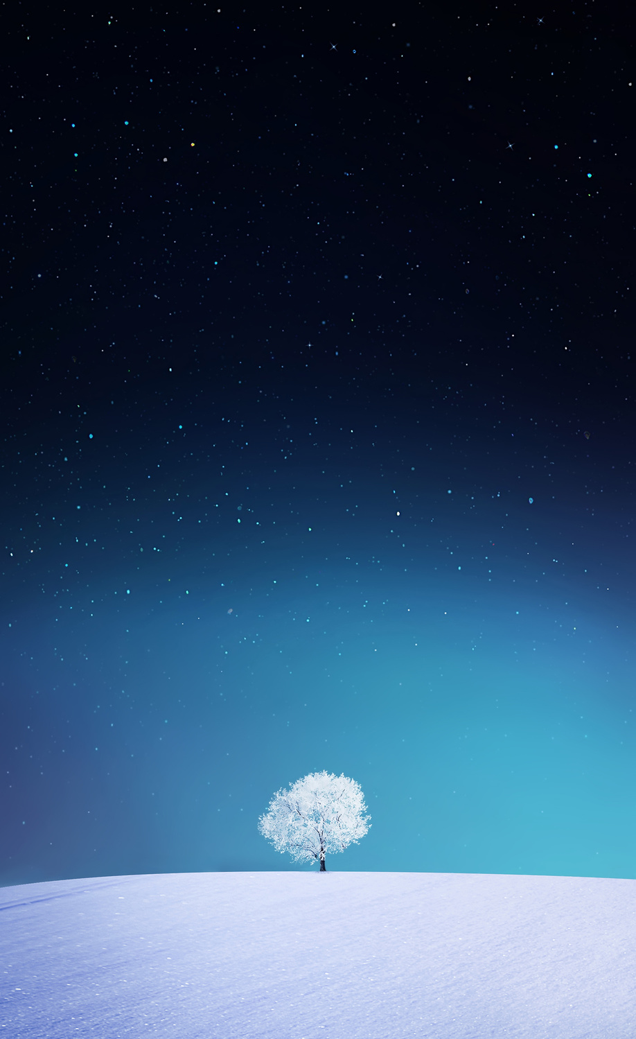 12b837f653a53f906a2ae2214bcf4de8-hd2.jpg