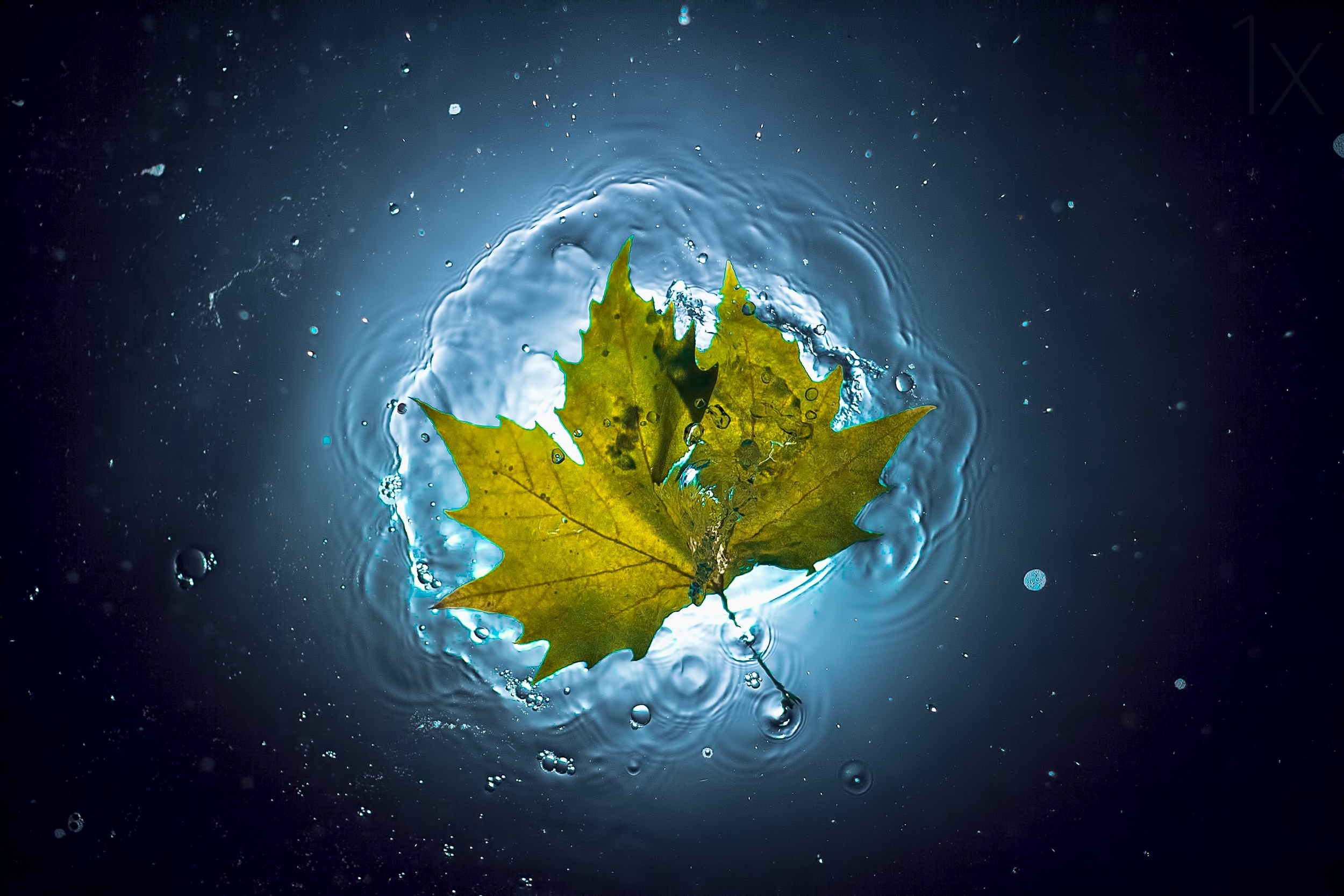 1e437e8b15a15bea28979b012336d571-hd2.jpg
