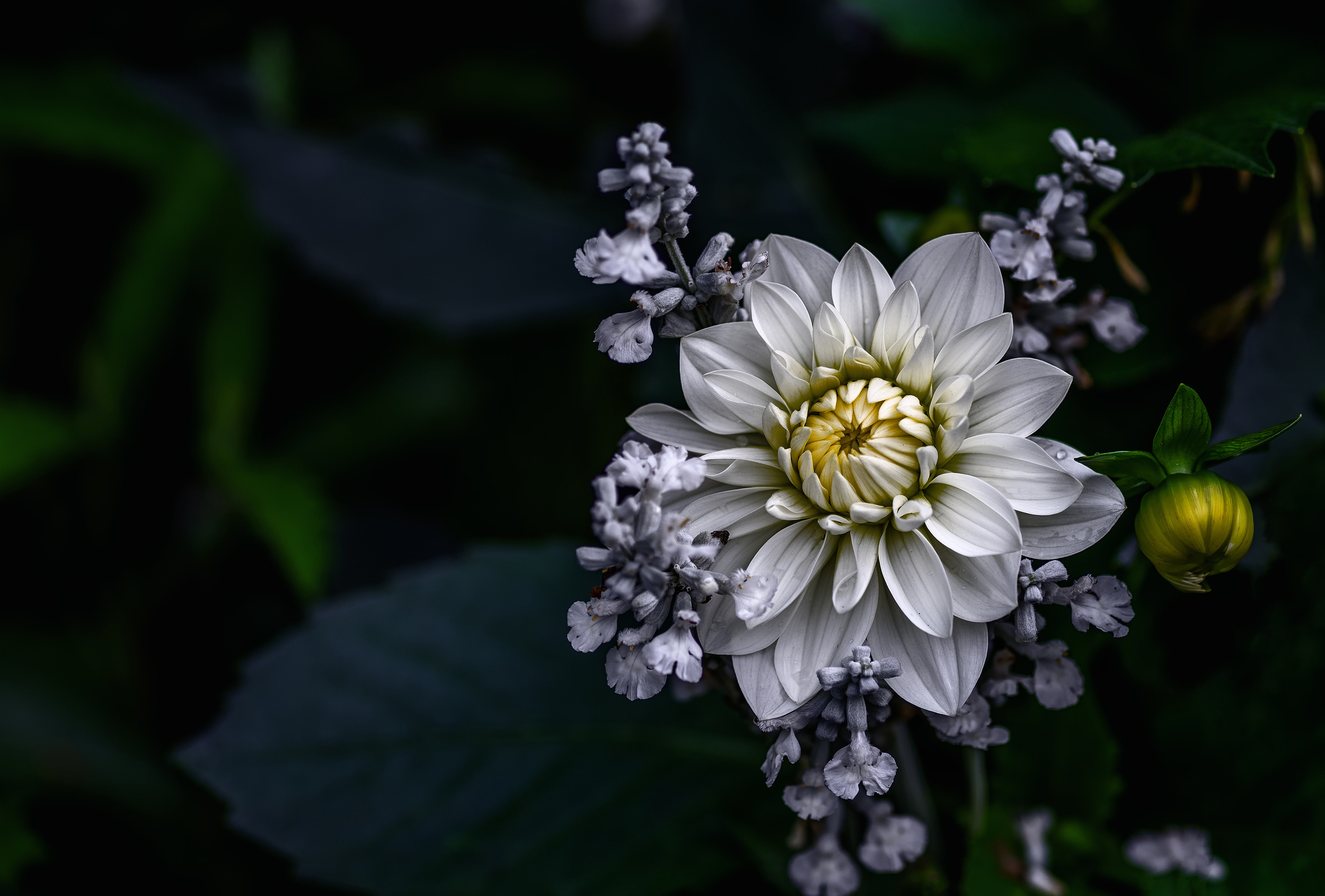 87d7deb9a0563dfa067dd13243a8fb40-hd2.jpg