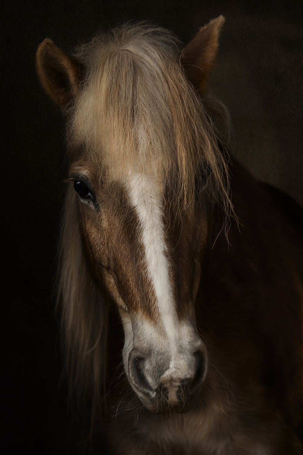 ad39faa1d175f3d92ac07265763298b5-hd2.jpg
