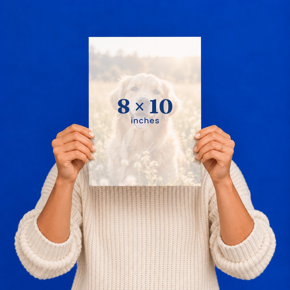 8 x 10 Plexi-Poster held up by a woman, with a golden retriever photo